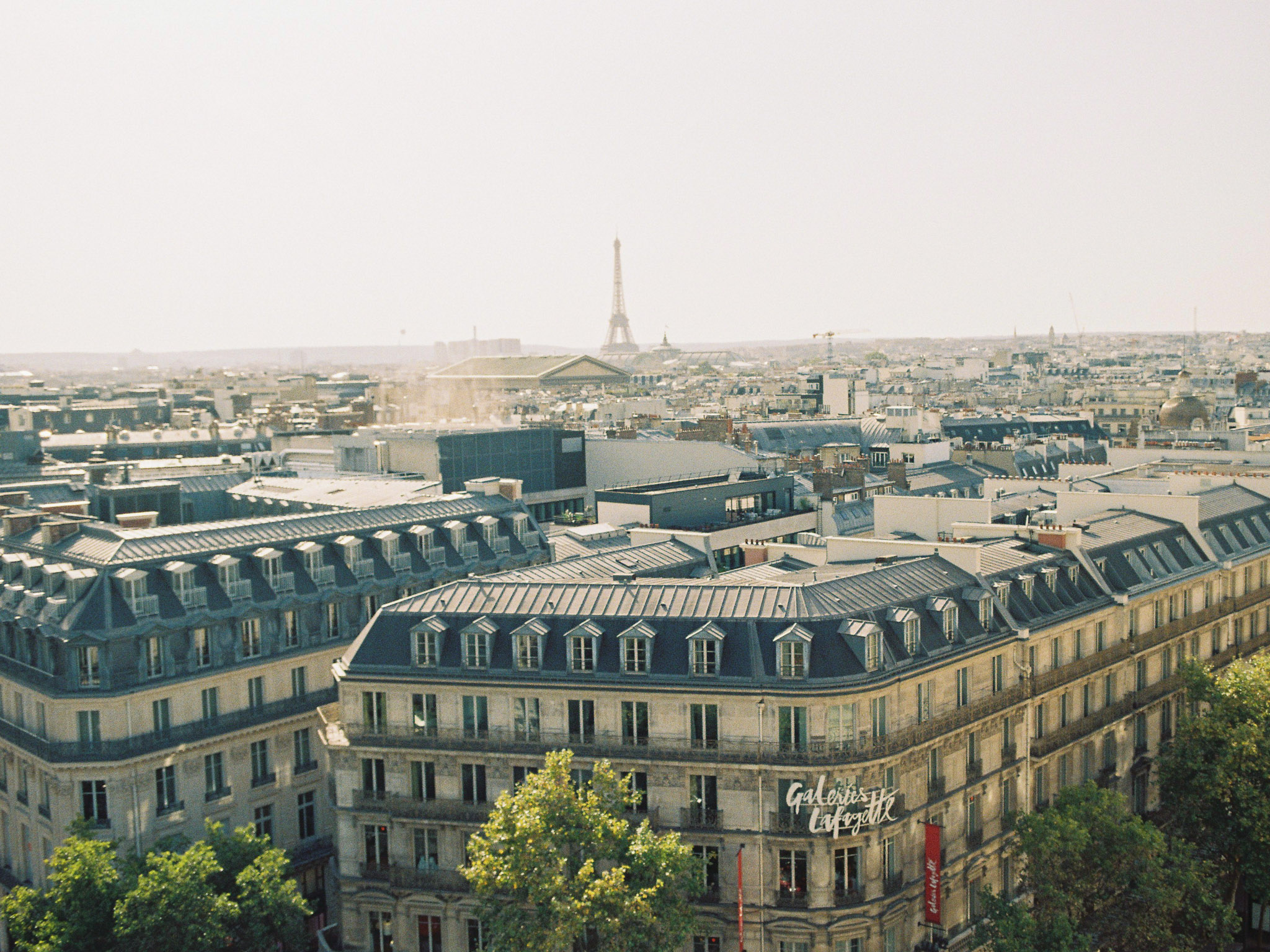 Paris rooftops with Eiffel Tower